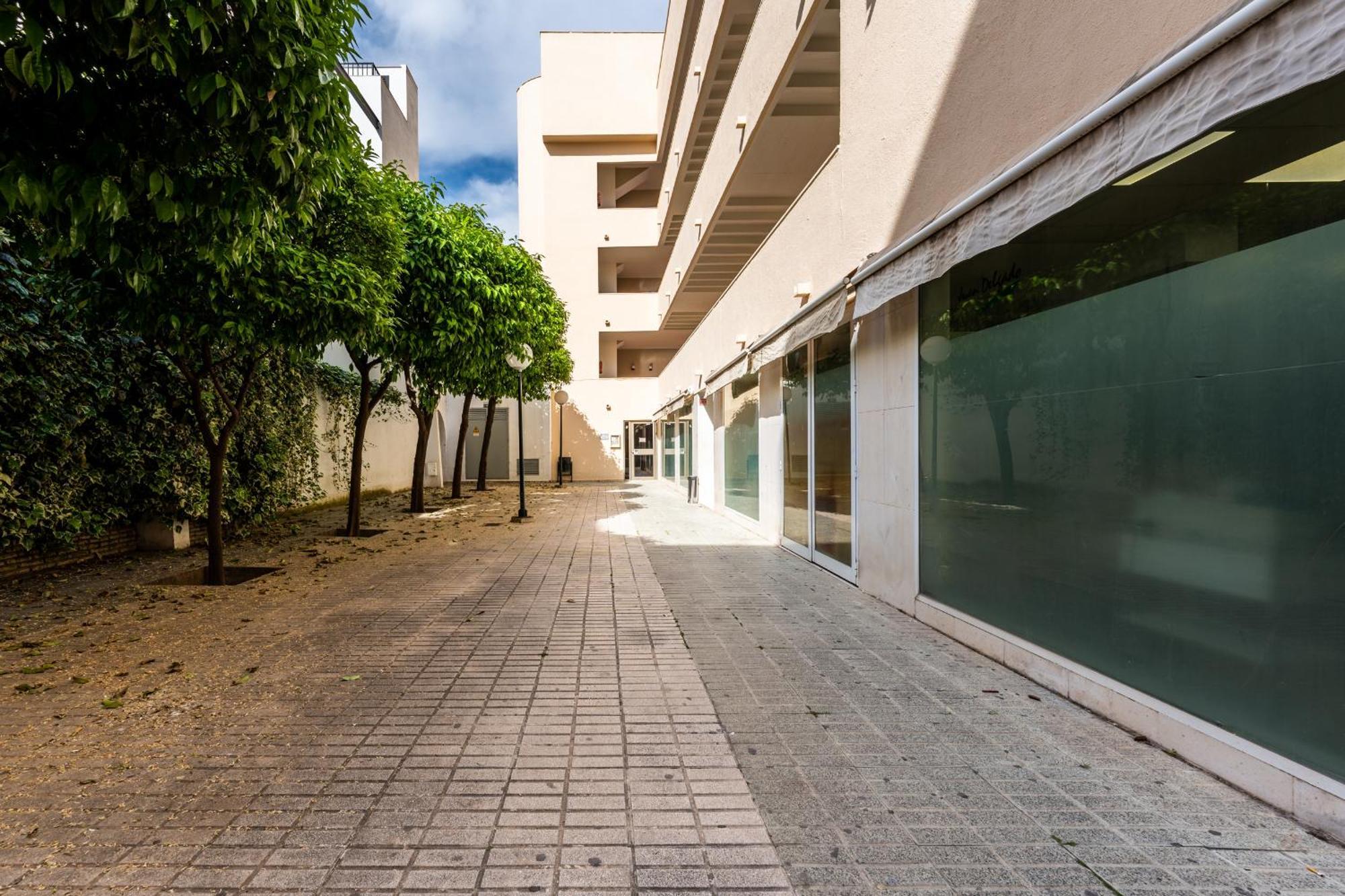 Apartamento Sevilla Centro, Alfonso XII Exterior foto